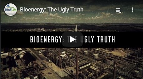 2017-12-14-biomassmurder-org-bioenergy-the-ugly-truth-birdlife-europe-and-central-asia-english