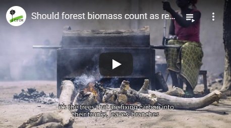2018-01-17-biomassmurder-org-should-forest-biomass-count-as-renewable-energy-cifor-english