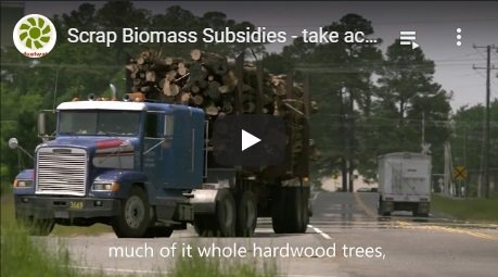 2018-10-31-biomassmurder-org-scrap-biomass-subsidies-take-action-biofuelwatch-english
