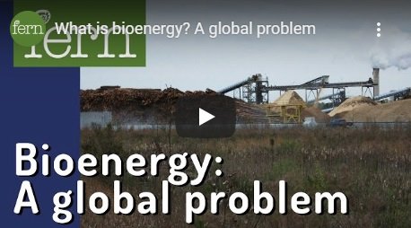 2019-01-11-biomassmurder-what-is-bioenergy-a-global-problem-fern-english