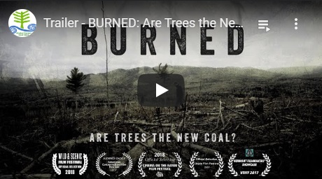 2019-03-17-biomassmurder-org-burned-are-trees-the-new-coal-global-forest-coalition-english