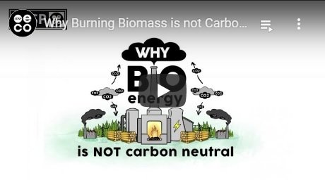 2019-09-05-biomassmurder-org-why-burning-biomass-is-not-climate-neatral-edsp-eco-english