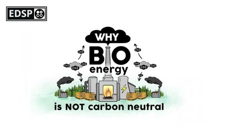 2019-11-22-edsp-eco-pro-biomass-lobbyfacts-research-part-3-scientists-why-burning-woody-biomass-for-energy-is-not-carbon-neutral