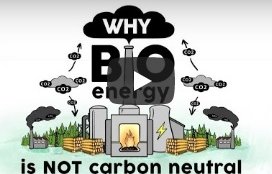 Bio Mass Murder Youtube Animation Video Why Burning Biomass is not Carbon Neutral